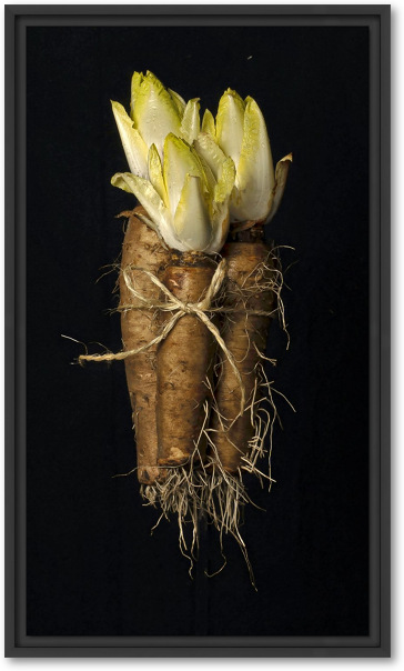 Onzichtbare kracht prei