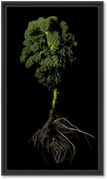 Onzichtbare kracht- boerenkool