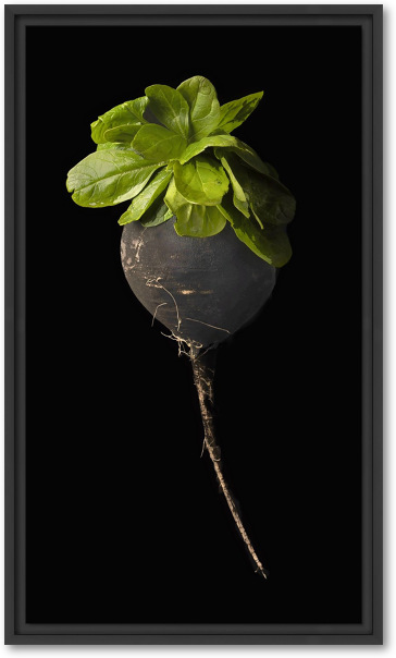 Onzichtbare kracht- rammenas