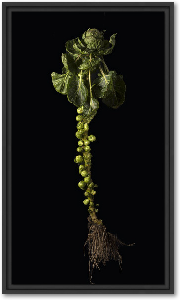 Onzichtbare kracht prei