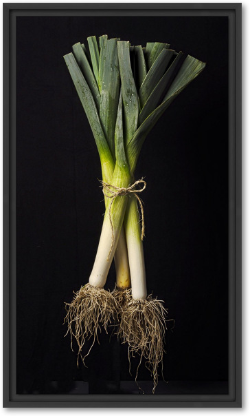 Onzichtbare kracht spruit